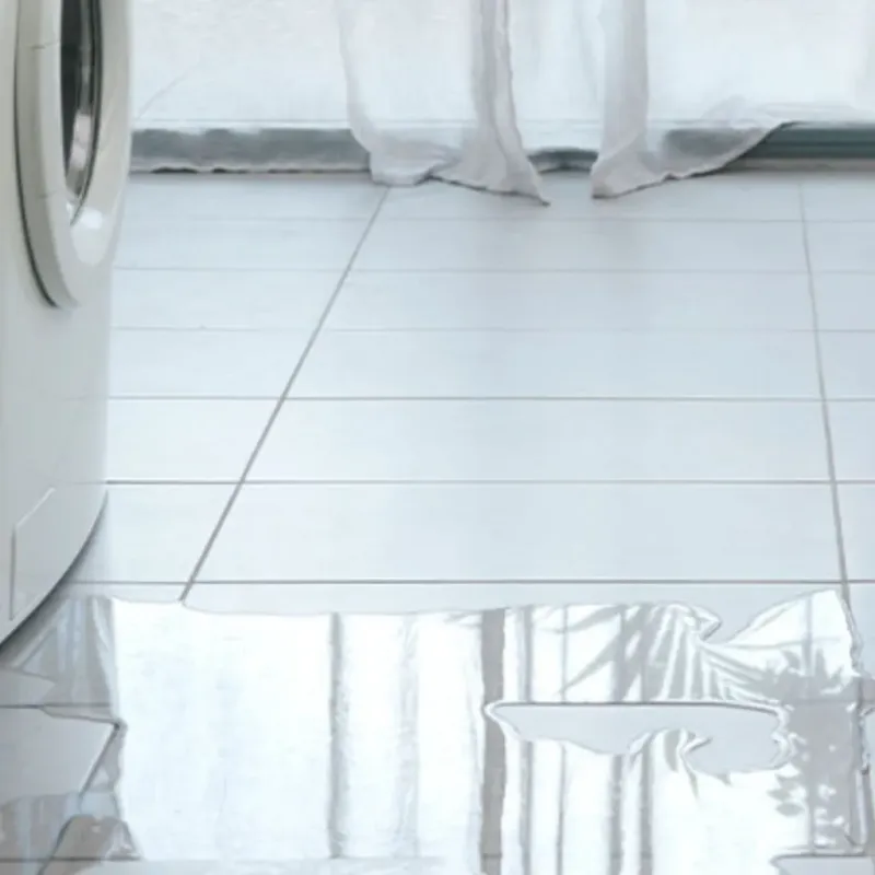 Appliance Leak Cleanup in Beaverton, MI