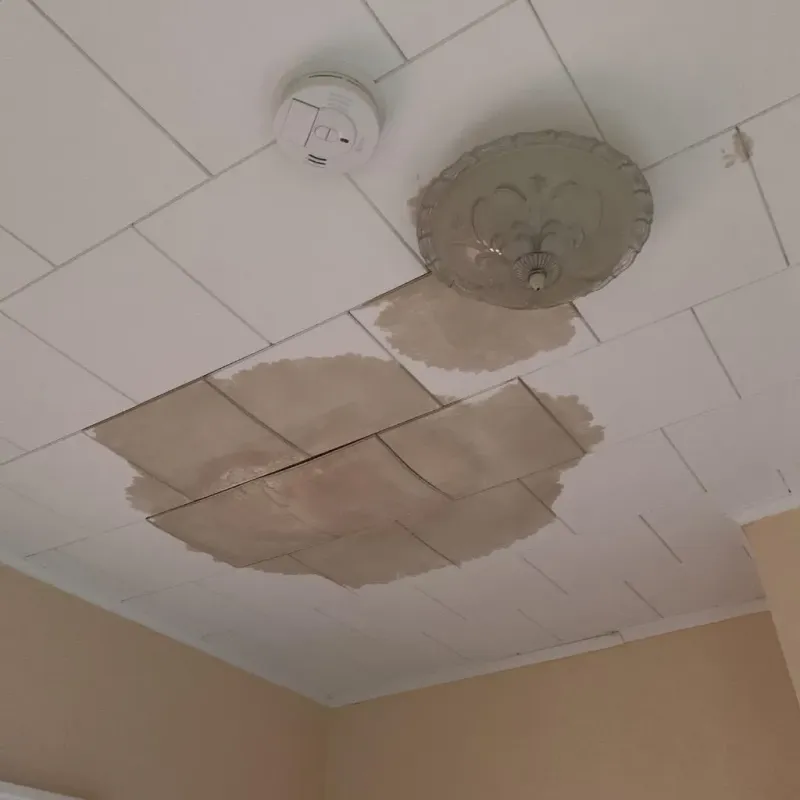Ceiling Water Damage Repair in Beaverton, MI