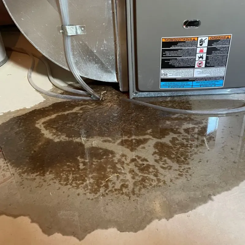Pipe Burst and Leak Restoration in Beaverton, MI